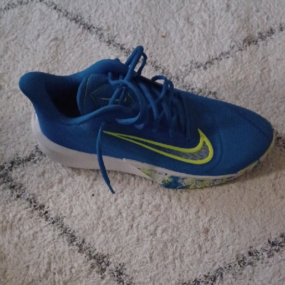 Nike MLB Blue and Green Sneakers